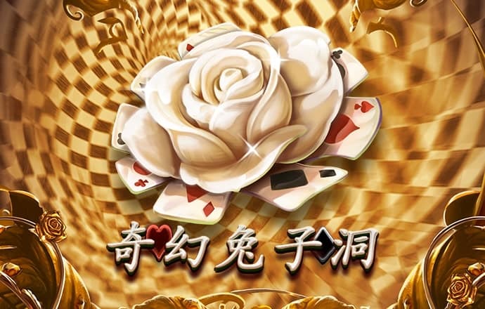 龙珠体育官网入口